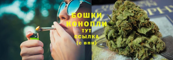 дурь Белокуриха