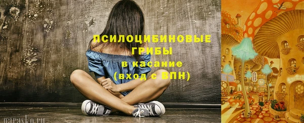 гашик Беломорск