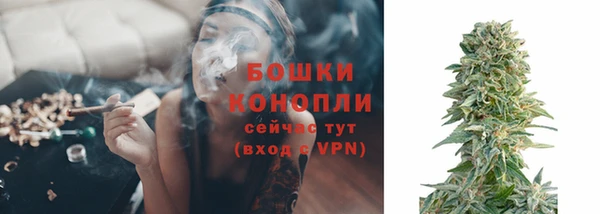 гашик Беломорск