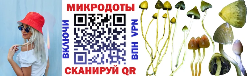 площадка состав  Володарск  Псилоцибиновые грибы Cubensis  купить  